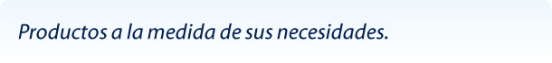 grupo-avant-empresa-nuestra-vision